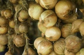 Oddly enough, the volatile compound that makes you cry is also responsible for the great taste in onions. See more vegetable pictures.