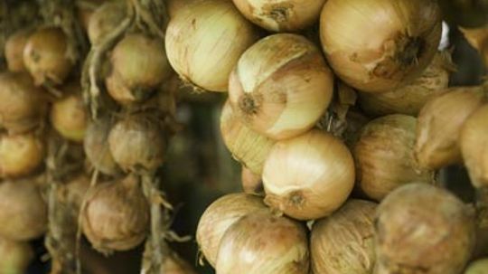 Why do onions make you cry?