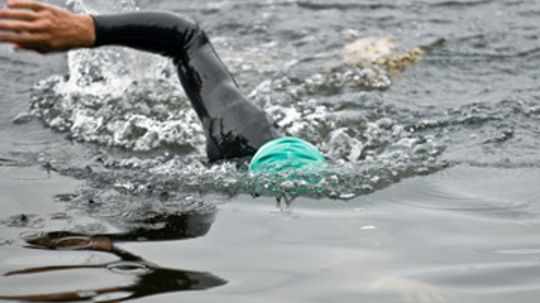 How Open Water Swimming Works