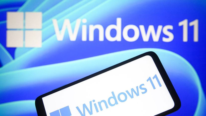 Windows 11