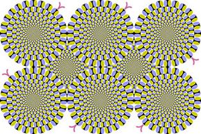 Scientists Find a Neurological Synergy in Explaining the Processing of a  Common Optical Illusion