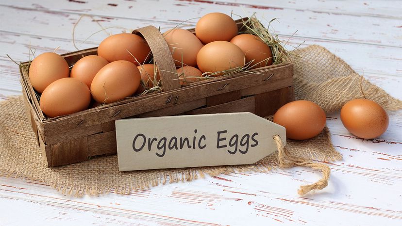 organic cage free eggs