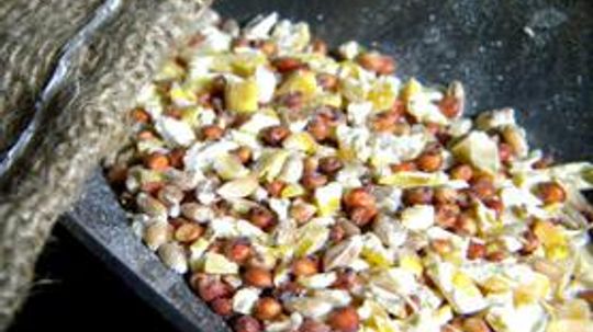 Organic Chicken Feed Is Cheep When You Make It Yourself