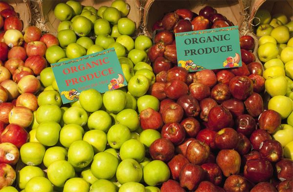 As organic food grows in popularity, will organic farmed be stifled by new food safety rules?