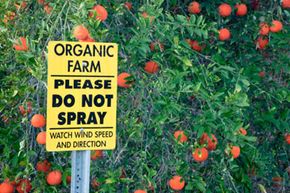 加利福尼亚州的一个有机柑橘农场试图保护其农作物免受有害化学物质的侵害。“border=