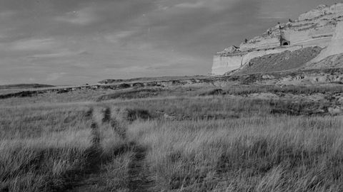 The Rise and Fall of the Oregon Trail - Vimarsana News