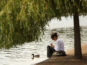 女人在树荫下看书树,她放松在海德公园在伦敦,英国。如果快速解决全球变暖变得必要,一些专家已经建议遮蔽太阳。”width=