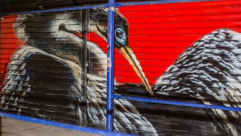 Audubon Mural Project Artists Paint Birds on the Brink - Vimarsana News