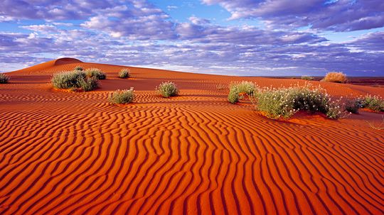 Australian Desert: Exploring the Arid Beauty and Wildlife of the Outback
