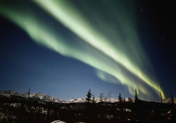 Denali National Park falls well within the Northern Lights zone.
