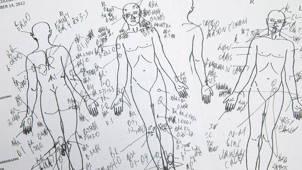 Fashion meets science in sketchy mannequin illustration.