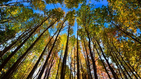 5 Things You Didn't Know About the Autumnal Equinox - Vimarsana News