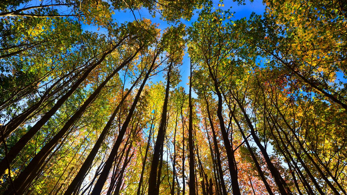 5-things-you-didn-t-know-about-the-autumnal-equinox-howstuffworks