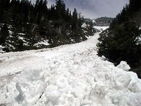 大多数受害者是在雪崩跳动埋在废墟中。”border=