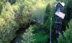 Cedar Creek Treehouse