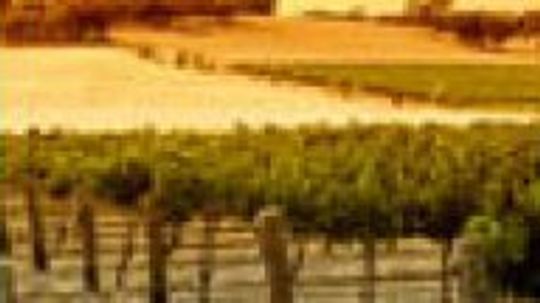 澳大利亚的葡萄酒”width=