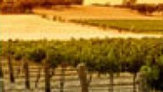 澳大利亚的葡萄酒”class=