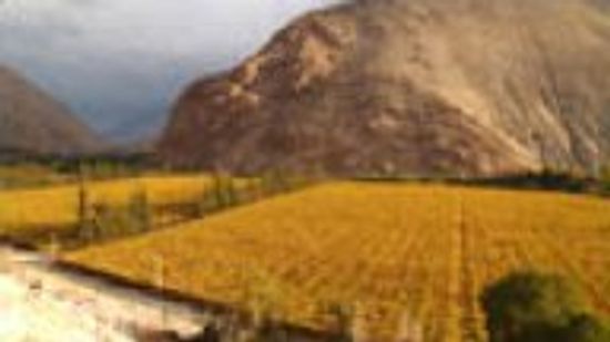 智利和阿根廷的葡萄酒”class=