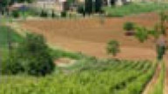 意大利葡萄酒”width=