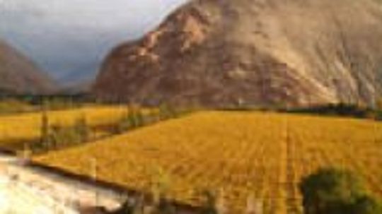 南非葡萄酒”width=