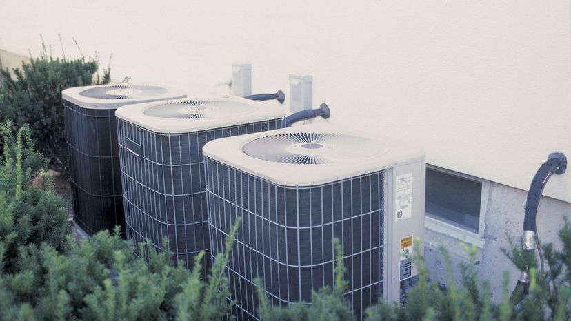 Shrubs surround three air conditioning units outdoors, outside a building.