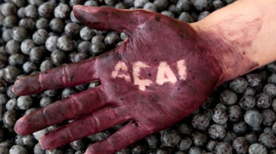 Acai Superfood Diet：您需要知道的“border=