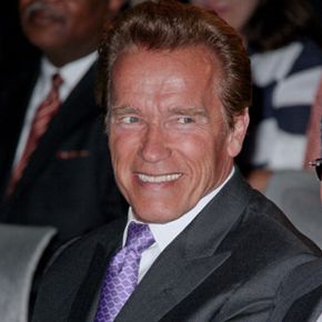 Former Governor Arnold Schwarzenegger: An acrostic fan?