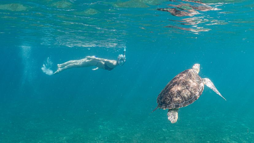 activities in virgin islands national park