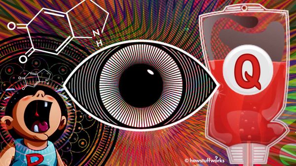 解开围绕肾上腺素的阴谋论＂width=