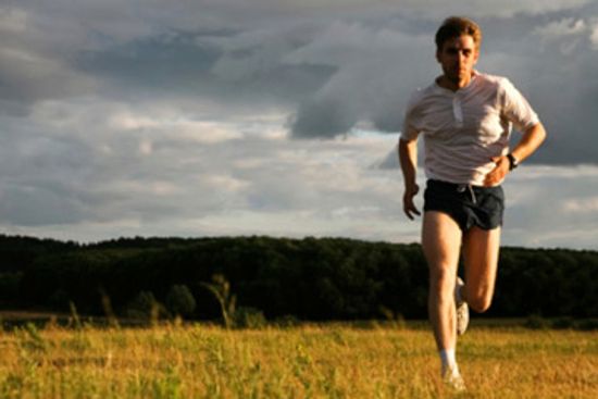 18新利最新登入先进的马拉松训练是如何运作的吗”class=