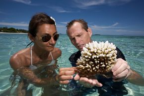 Marine biologists holding coral — Maldives