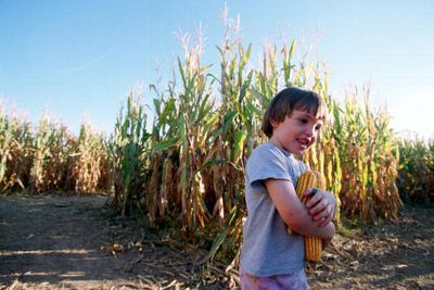 Boys embracing childhood outdoors in agriculture.