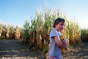 Boys embracing childhood outdoors in agriculture.