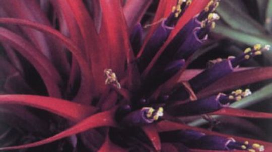 压缩空气装置”width=