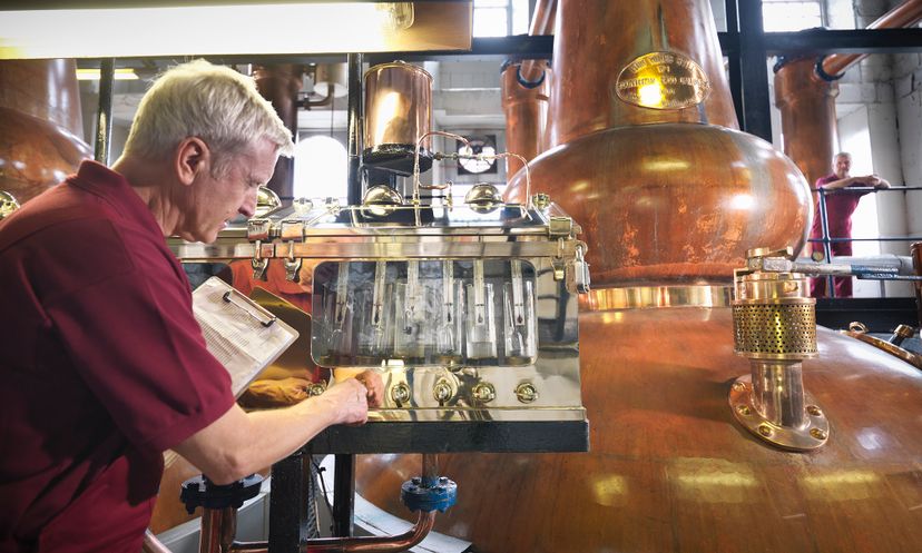 酝酿,酒精蒸馏和变性:测试你的知识”width=