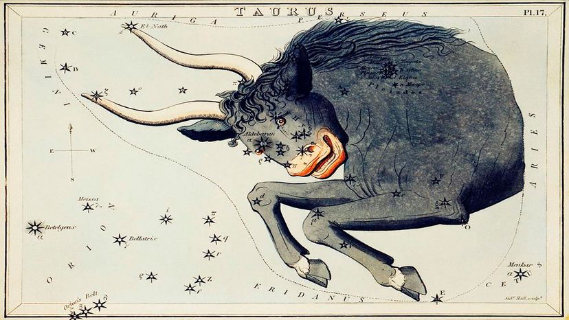 An illustration of Taurus, the bull, with Aldebaran, the bright, orange-red eye.