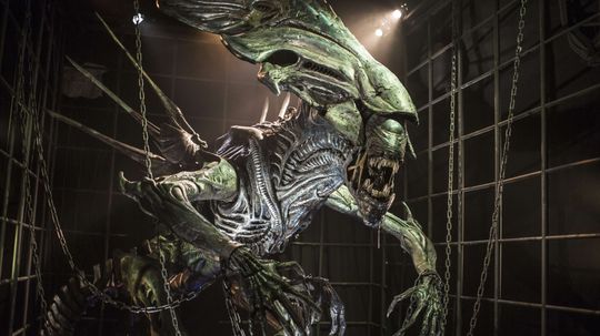 The 'Alien' Film Franchise Quiz