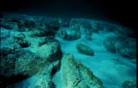 Club-shaped structures of underwater microbes called stromatolites