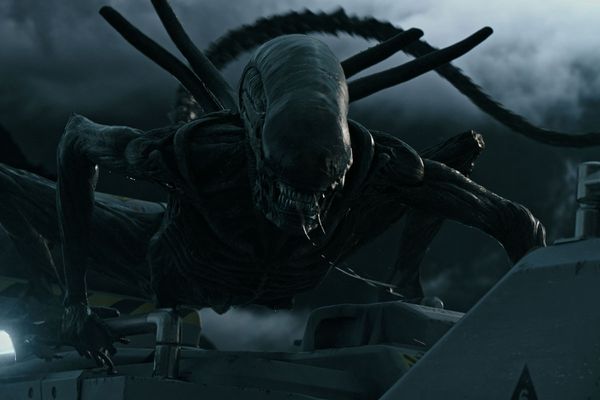 The xenomorph returns...