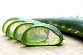 Aloe vera has been considered a curative plant for millennia. The ancient Greeks considered it a cure-all medicinal and it's been shown to cure dry skin disorders.