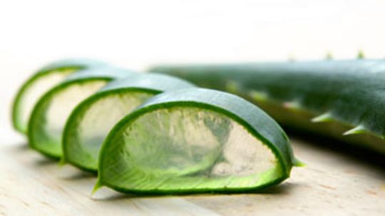 Can aloe treat skin problems?