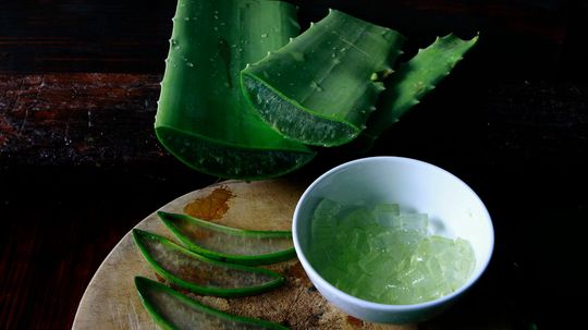 40 Amazing Uses for Aloe Vera