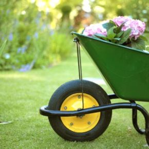 Following certain tips can help you reduce allergen exposure in your garden.