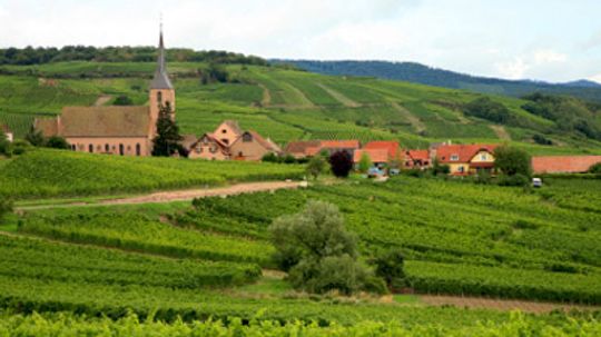 终极指南阿尔萨斯葡萄酒产区”width=