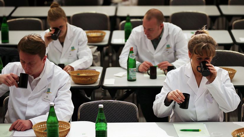 A group of professional tasters sample beer.