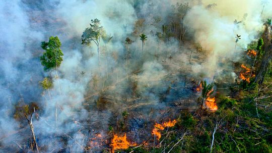 火灾、森林砍伐已经“翻转”了亚马逊成为碳排放源”border=