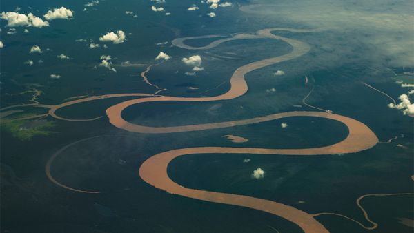 Flying above nature's watery backgrounds.