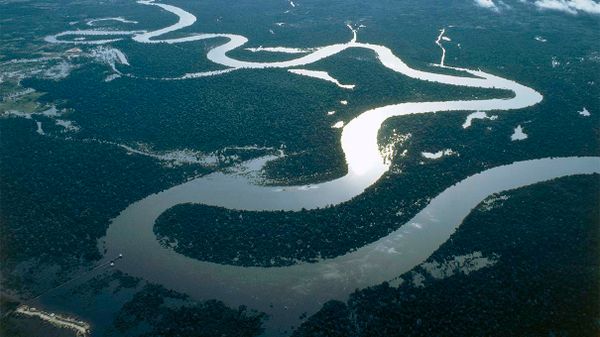 Aerial view of lush nature and water.