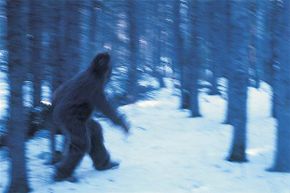 Ever notice that all the photos of Bigfoot are blurry?