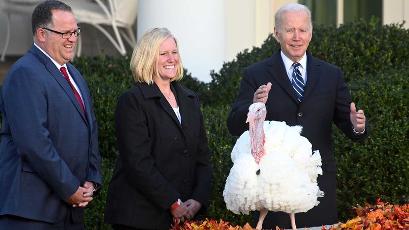 turkey pardon